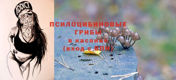 a pvp Алексин